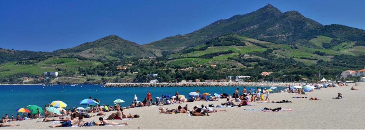 Maison Charmante A Argeles Sur Mer Pres De La Plage Avec Piscine Partagee Екстериор снимка